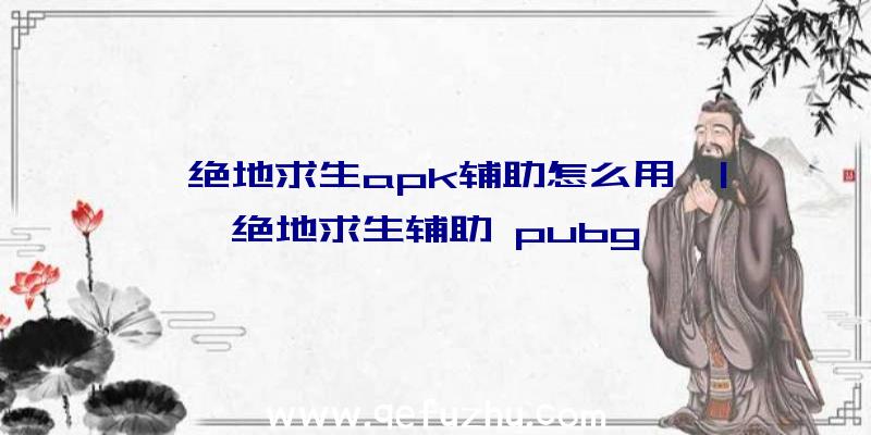 「绝地求生apk辅助怎么用」|绝地求生辅助